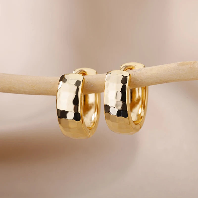 Gold Color Small Hoop Earrings Stainless Steel Silver Color Earrings