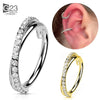 Implant Grade Titanium Hinged Seamless Earrings Clicker Hoop Ring for